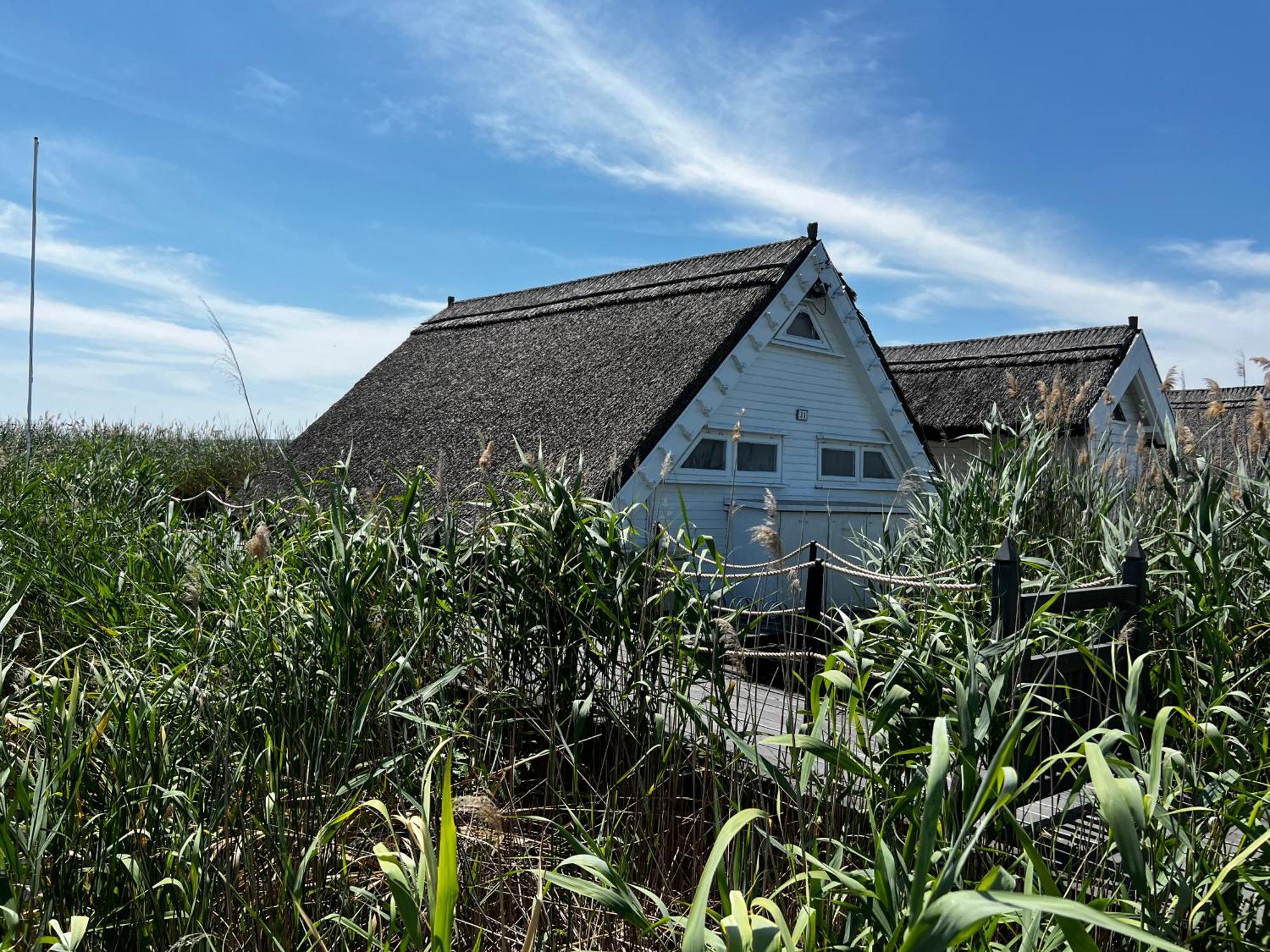 Seehuette Neusiedlersee - Seehaus Inklusive Elektroboot Rust Exterior foto